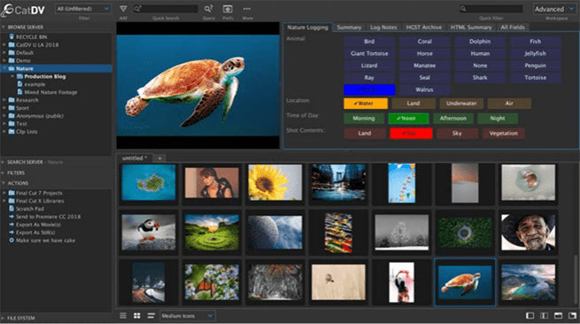 CatDV Pro Asset Management Software